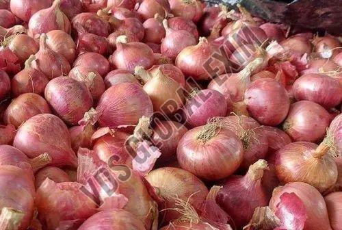 Fresh Nashik Red Onion