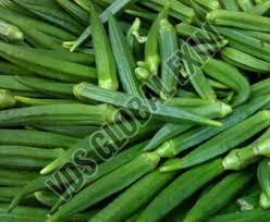 Fresh Pusa Sawani Okra