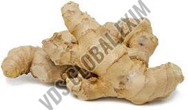 Fresh Rio-De-Janeiro Ginger