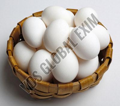 Fresh White Egg