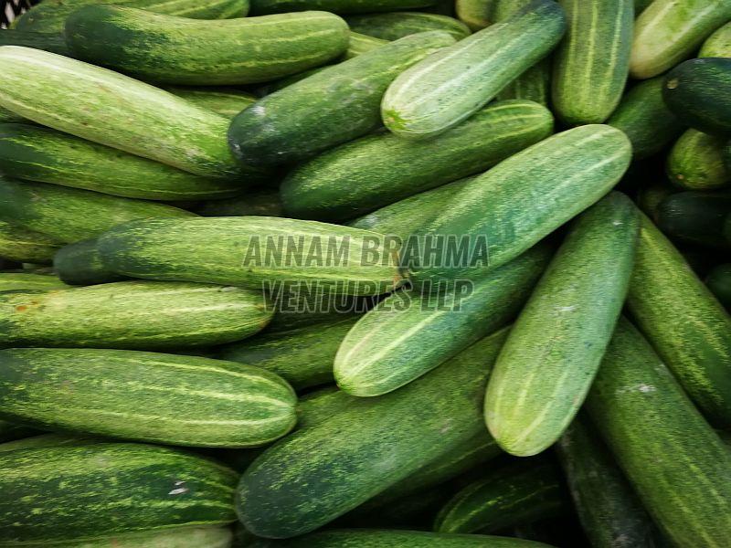 A Grade Fresh Cucumber