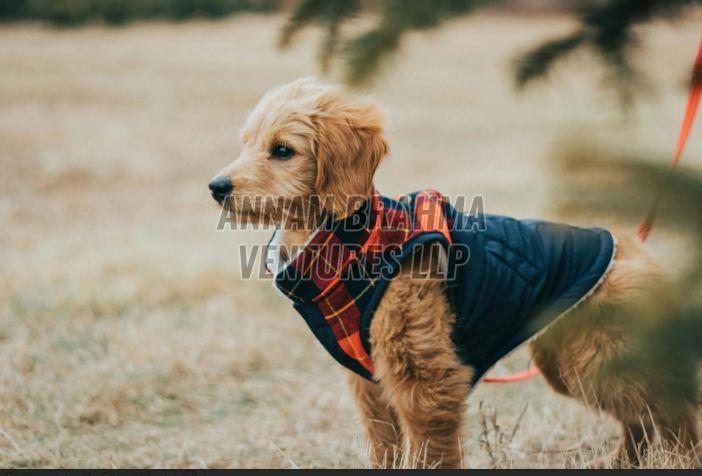 Dog Winter Jacket