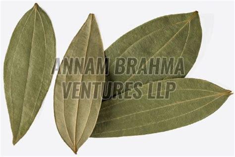 Dried Bay Leaves