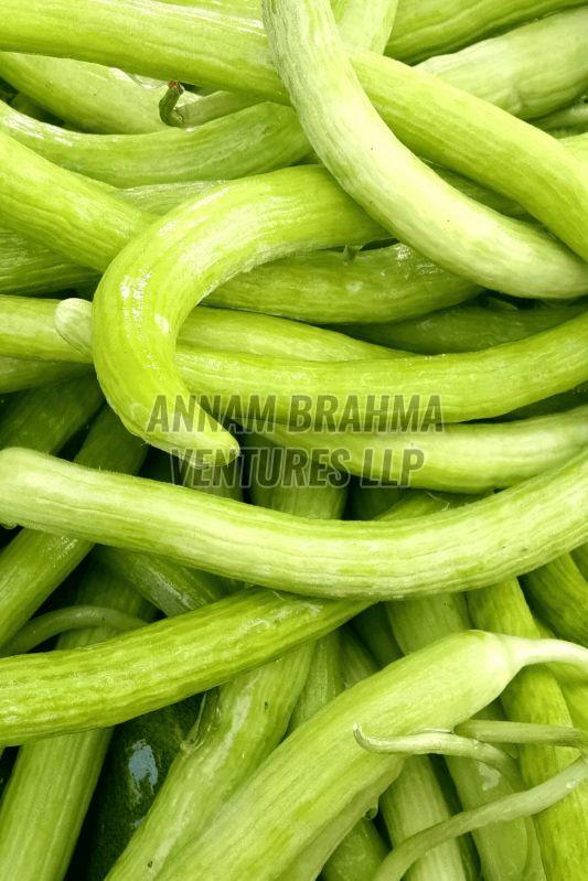 Fresh Armenian Cucumber