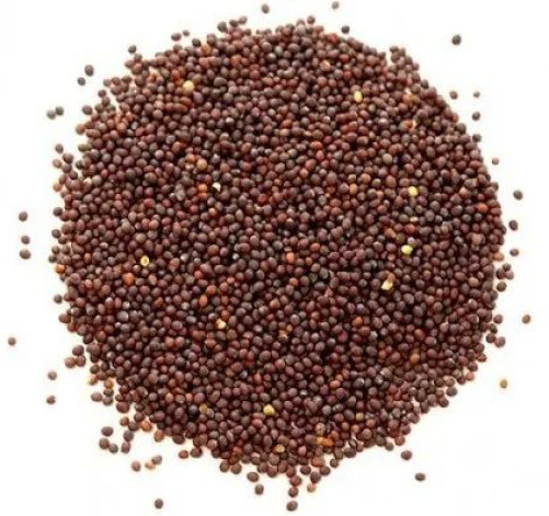 Mustard Seeds