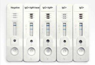 Widal Test Kit