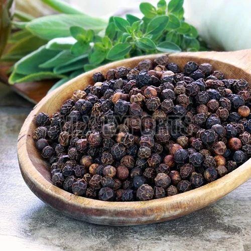 Raw Black Pepper Seeds