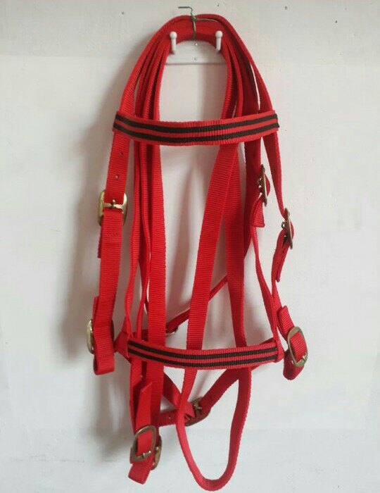 Nylon Horse Bridle