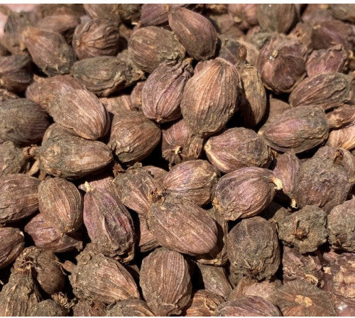 Black Cardamom