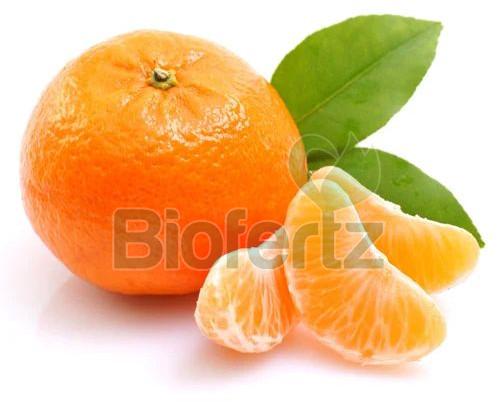 Fresh Orange