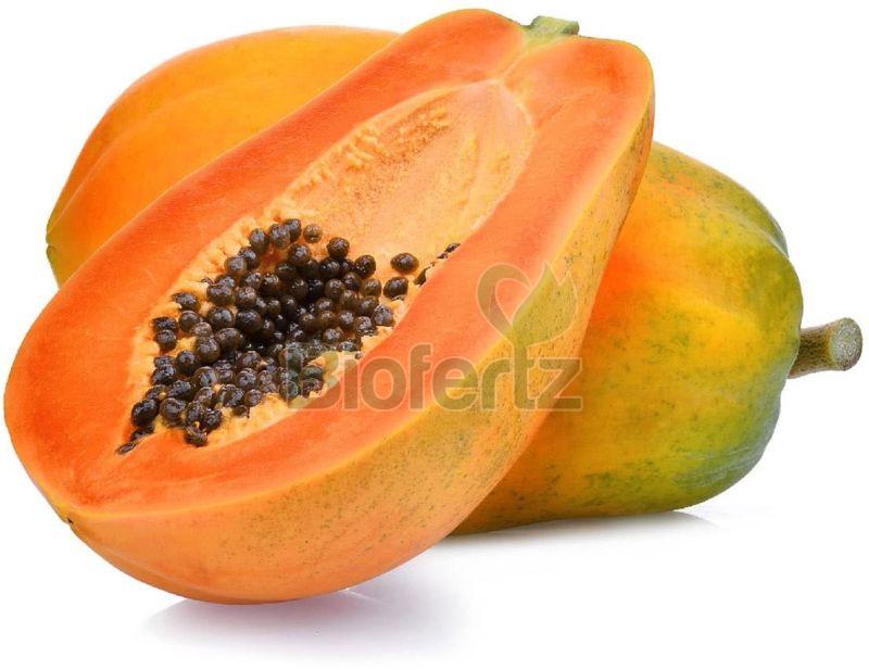 Fresh Papaya