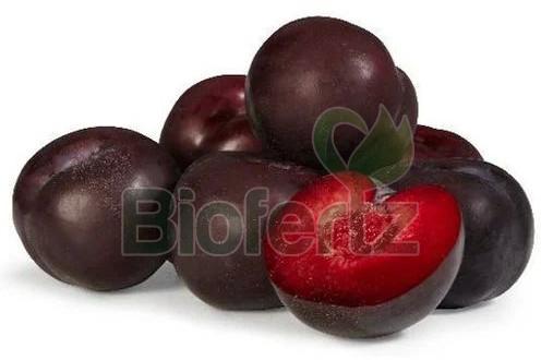 Fresh Plum