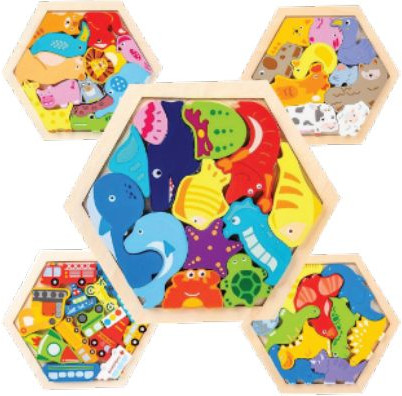 Wooden Hexa Brain Puzzle