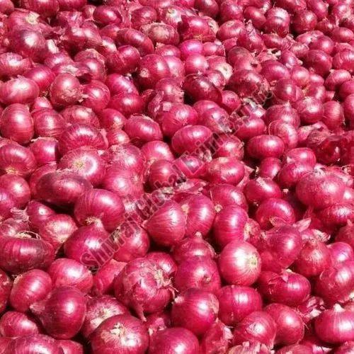 Red Onions