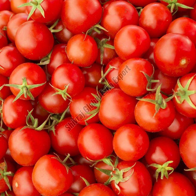 Red Tomatoes