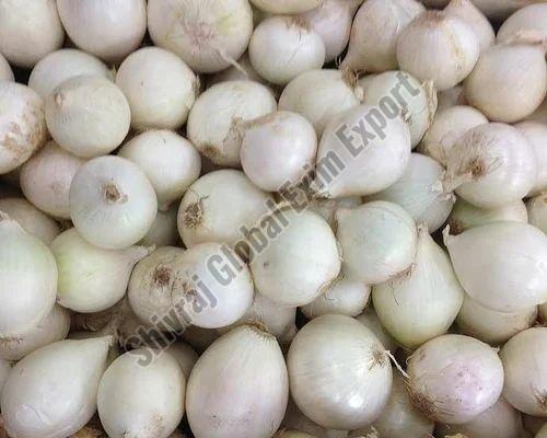 Fresh White Onion