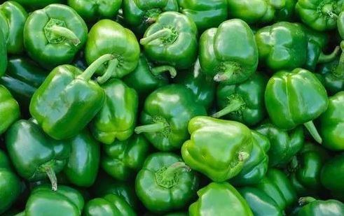 Fresh Green Capsicum