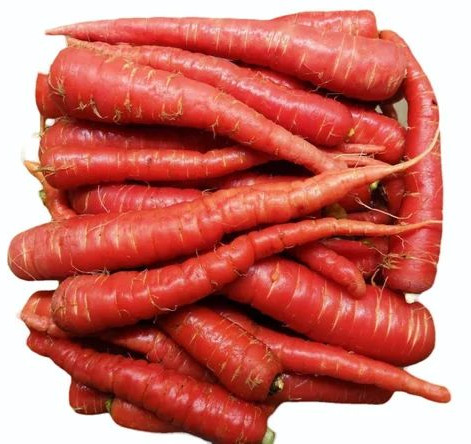 Fresh Red Carrot