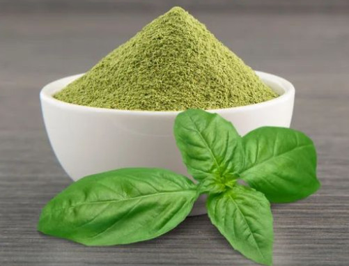 Basil Powder