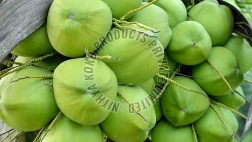 Green Tender Coconut