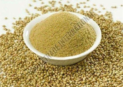 Coriander Powder