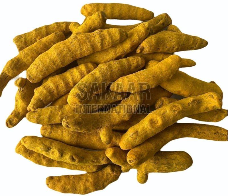 Raw Turmeric Finger