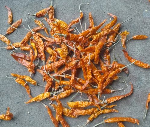 Yellow Gold Dried Chilli