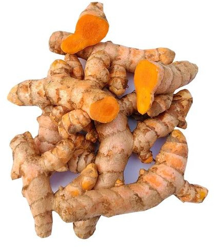 Raw Turmeric Finger