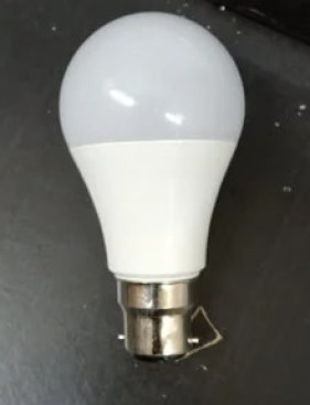 12 Watt LED Bulb