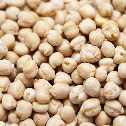 White Chickpeas