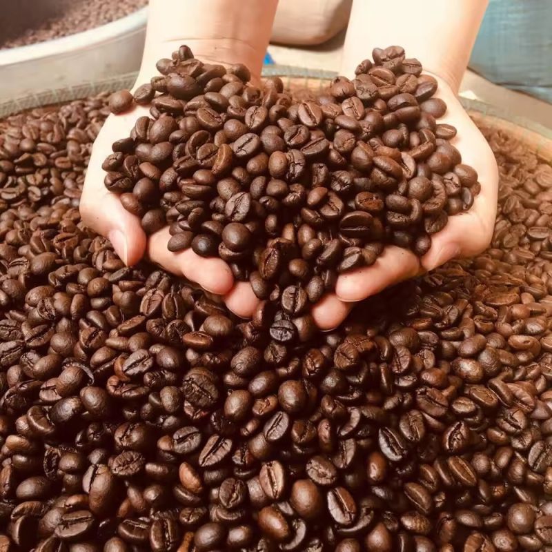 Robusta Roasted Coffee Beans