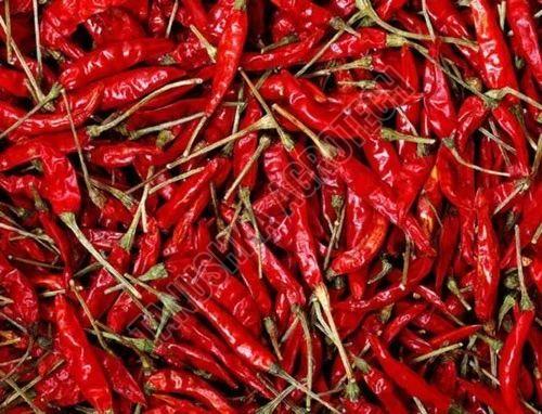 Dry Red Chilli