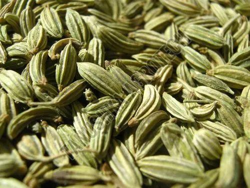 Fennel Seed