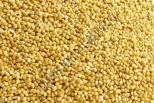 Foxtail Millet