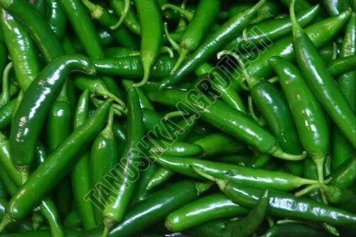 Fresh Green Chilli