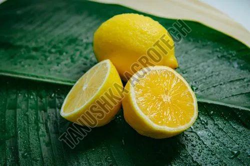 Fresh Lemon