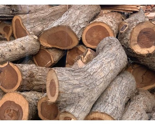 Brown Sheesham Wood Logs