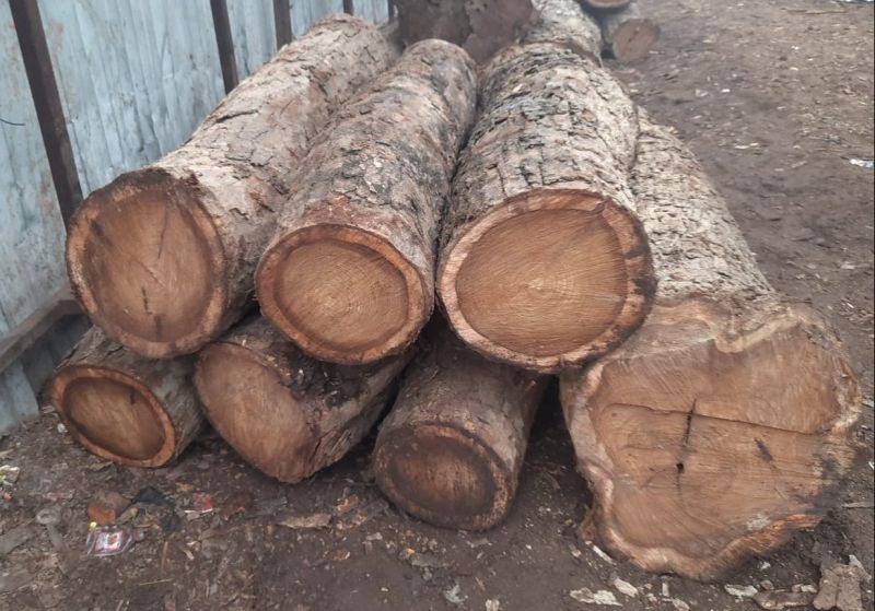 Round Sheesham Wood Logs