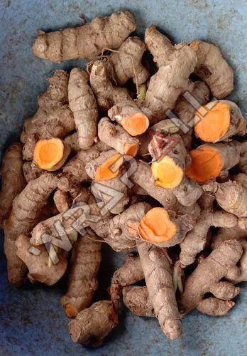 Raw Organic Turmeric Finger