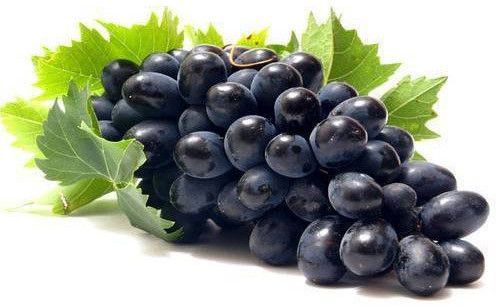 Fresh Black Grapes