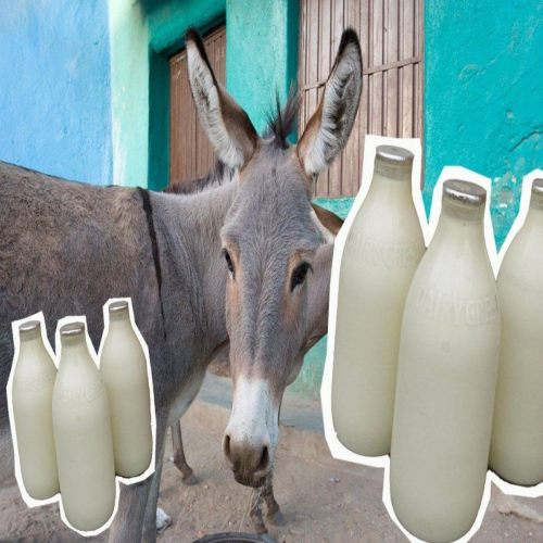 Organic Donkey Milk