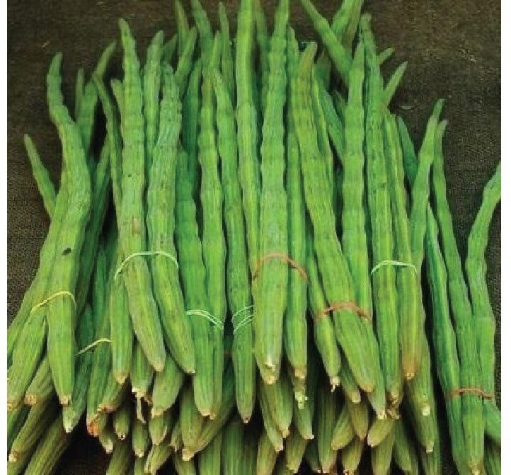 Fresh Drumsticks
