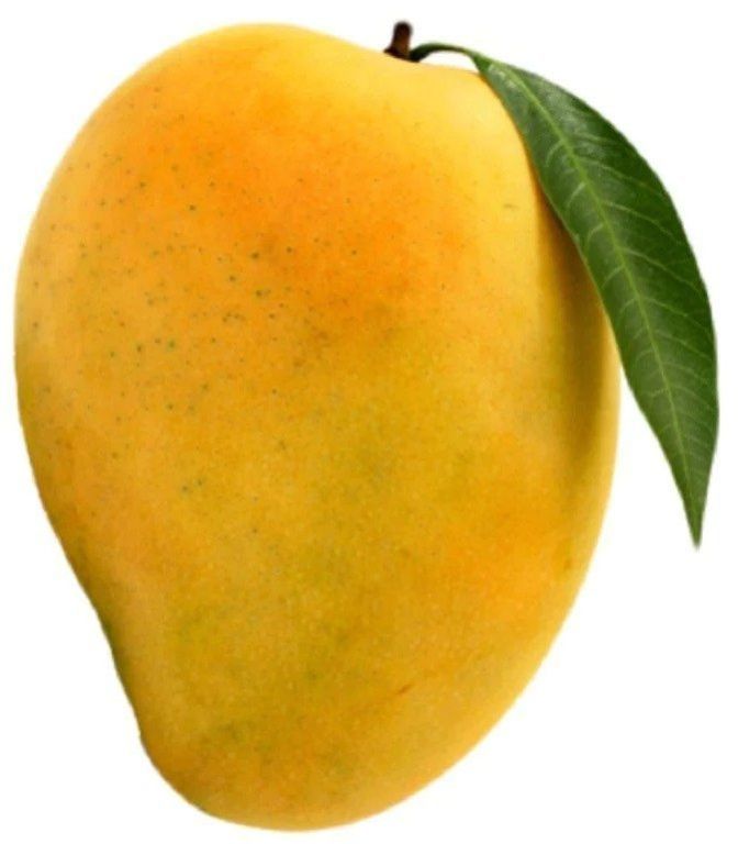Fresh Mango