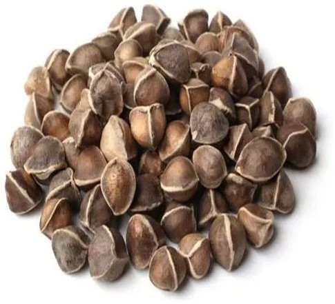 Moringa Seeds