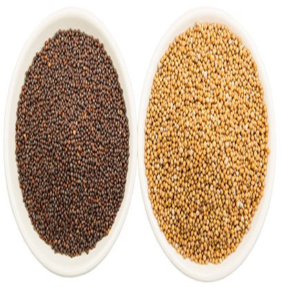 Mustard Seeds