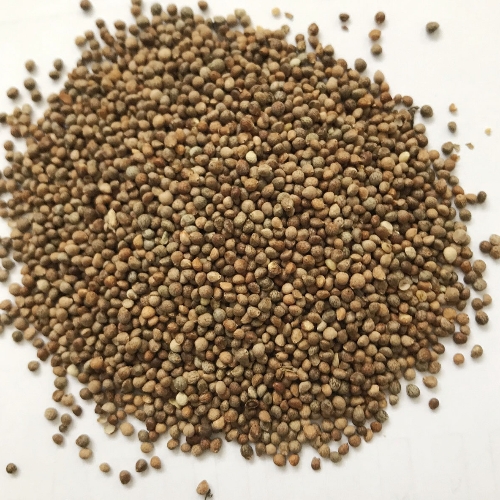 Perilla Seeds