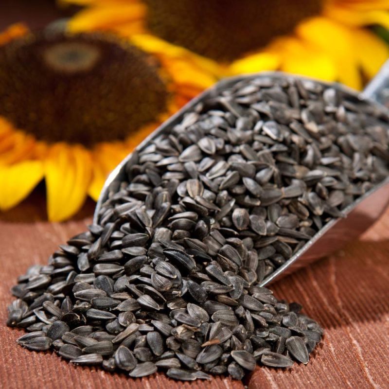 Sunflower Seeds