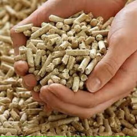 Pure Biomass Pellet