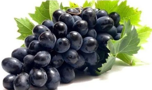 Black Grapes