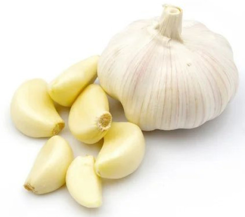 Fresh Garlic